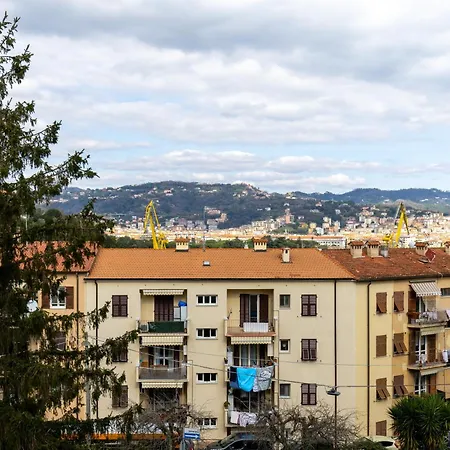 Albi House, Terre Marine