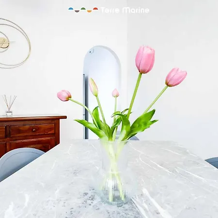 Appartement Albi House, Terre Marine