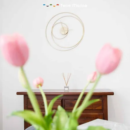 Albi House, Terre Marine